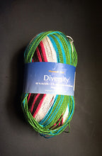 Load image into Gallery viewer, Plymouth Yarn Company-Diversity