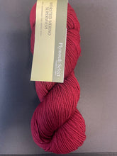 Load image into Gallery viewer, Plymouth Yarn Select - 100% Superwash Fine Merino Wool
